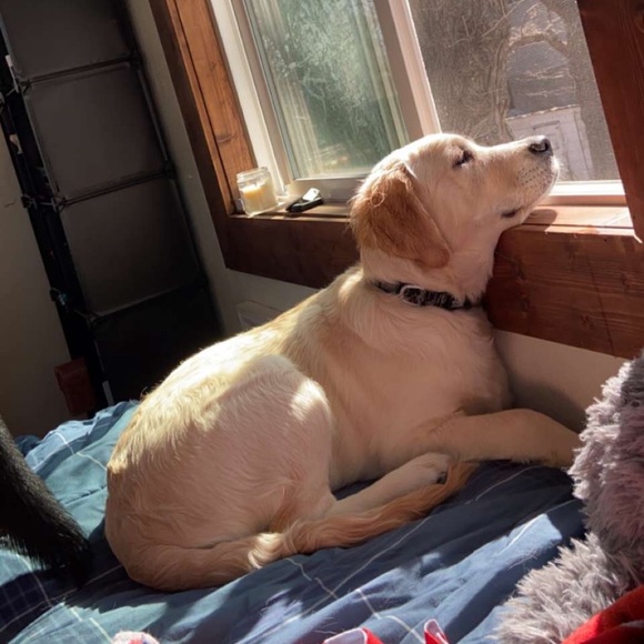 Meet your Posher, Katie - Picture 1 of 1